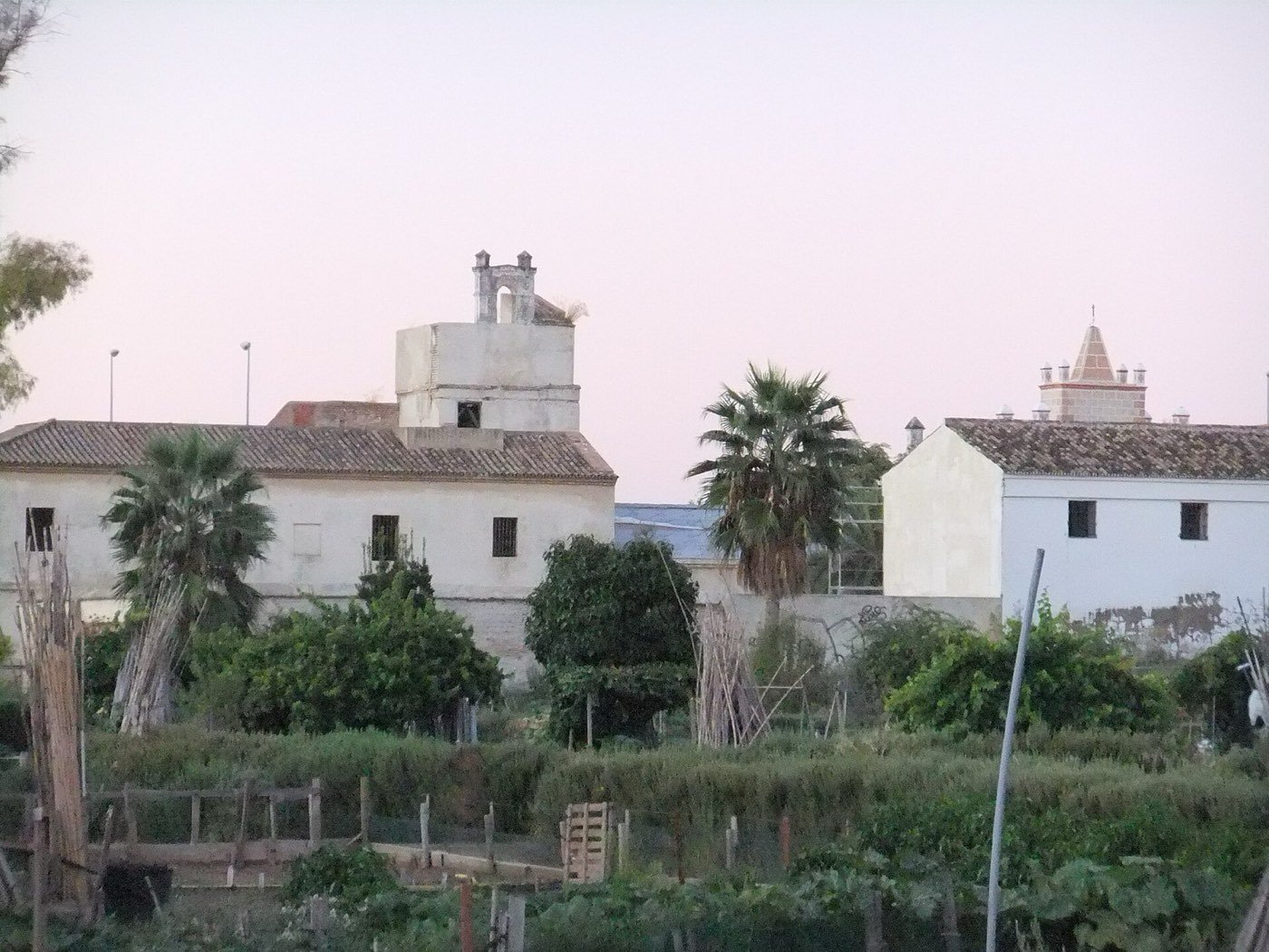 Hacienda blanca entre palmeras al atardecer